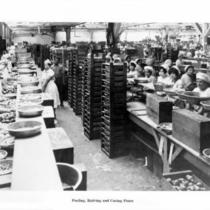 Cannery workers processing pears.