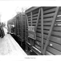 Cannery workers unloading from train cars.